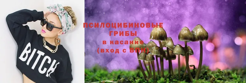 Псилоцибиновые грибы Magic Shrooms  Шлиссельбург 